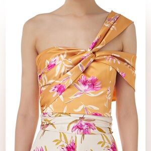 Amur Marty Bustier, XS, NWT